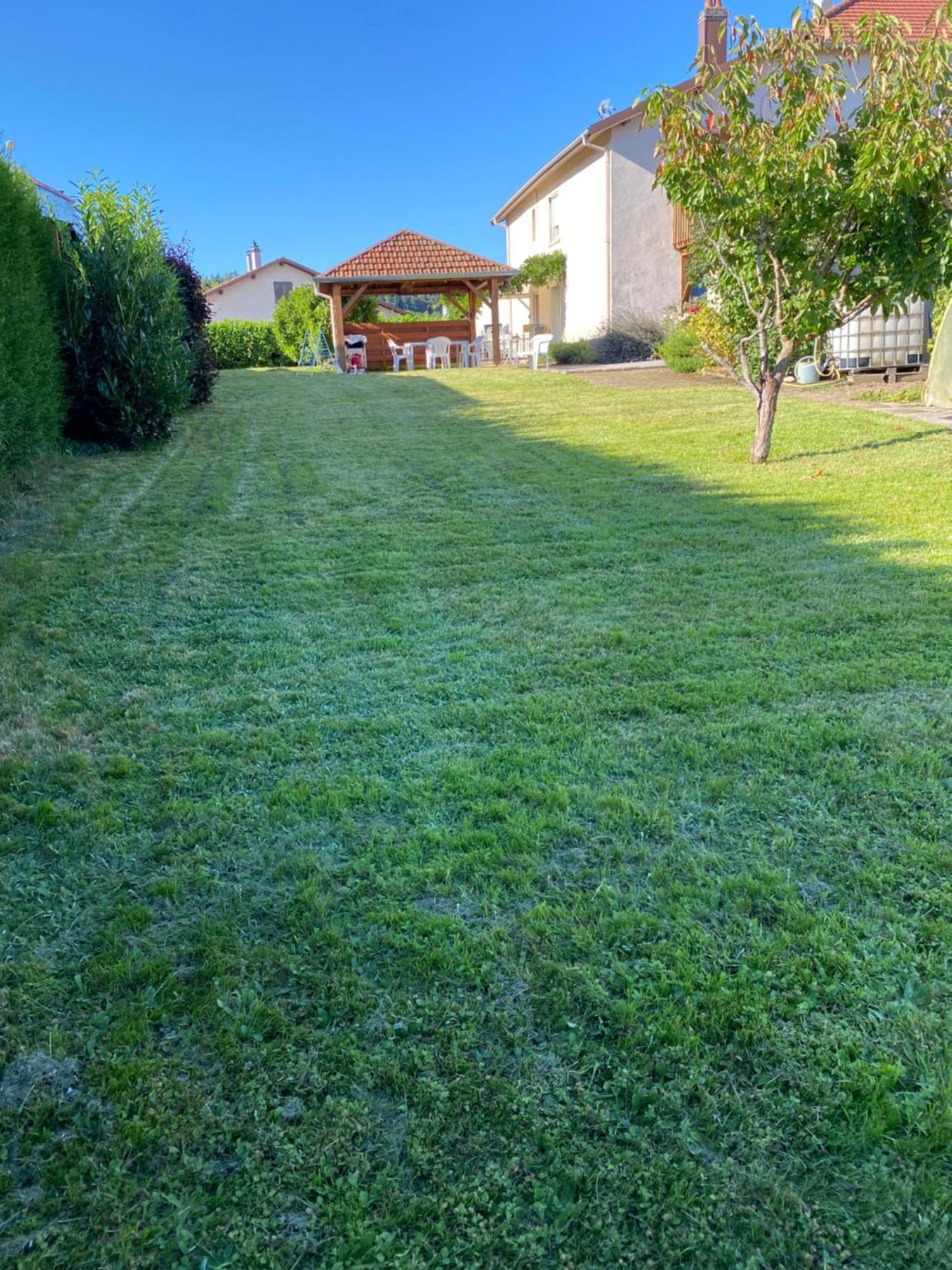 Au Coeur Des Vosges Apartamento Laval-sur-Vologne Exterior foto